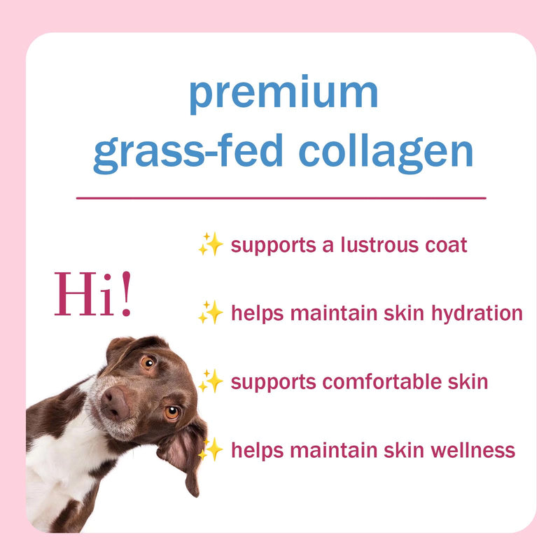 Liquid Collagen Supplement for Dogs - Supports Joint Health, Skin & Coat Vitality, and Digestive Wellness, 2 Fl Oz Premium Formula (2 Pack) (1) 1