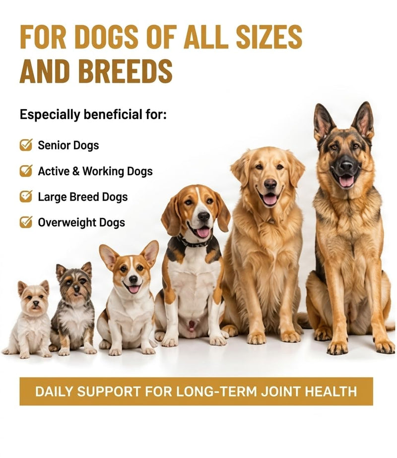 Hip and Joint Supplement for Dogs,Chondroitin Chews,Used to Relieve Pain Caused by Canine Arthritis and Provide Joint Care,Applicable to All Dog Breeds,200ct