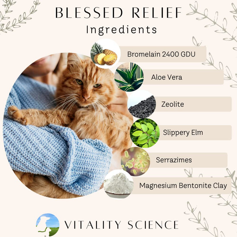 Vitality Science Blessed Relief for Cats | Seasonal Allergy Support | Improves Respiratory Function and Breathing | Heals Skin Helps Irritation (20g) 20g