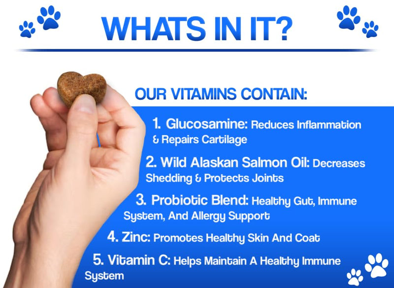 11-in-1 Dog Multivitamin Chews | Hip & Joint Support, Skin & Coat, Immune, Digestive & Heart Health | Chicken Flavor Supplement for Dogs | 120 Soft Chews, 300g