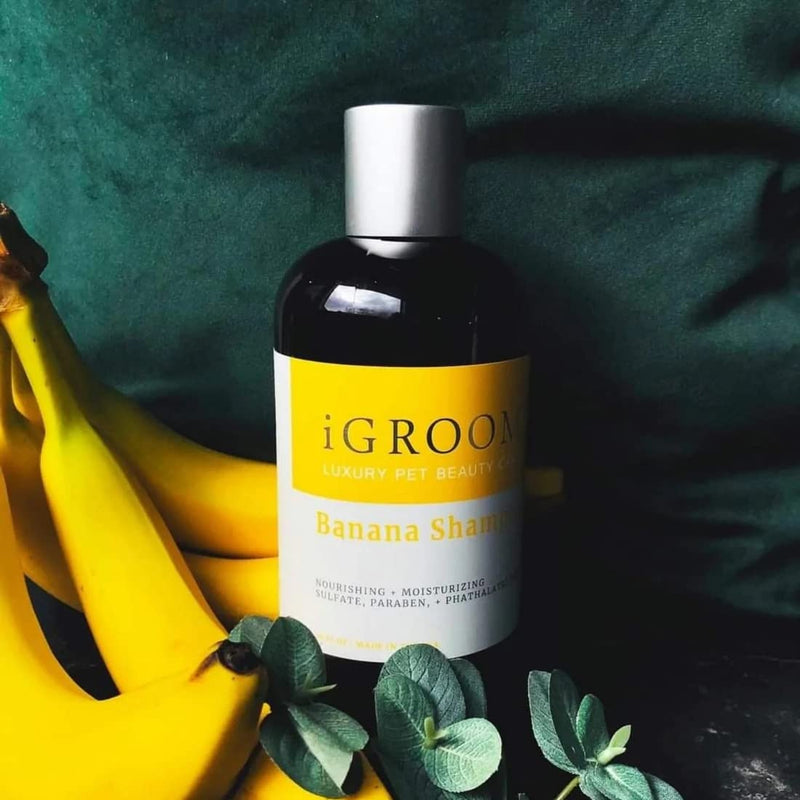 iGroom Dog Shampoo + Dog Conditioner Groomers Bundle - Banana Dog Shampoo Concentrate, Nourish & Moisturize, Nutrient Rich, 16 oz - Pro-Keratin Leave-in Dog Conditioner, Excellent Detangling, 16 oz - PawsPlanet Australia