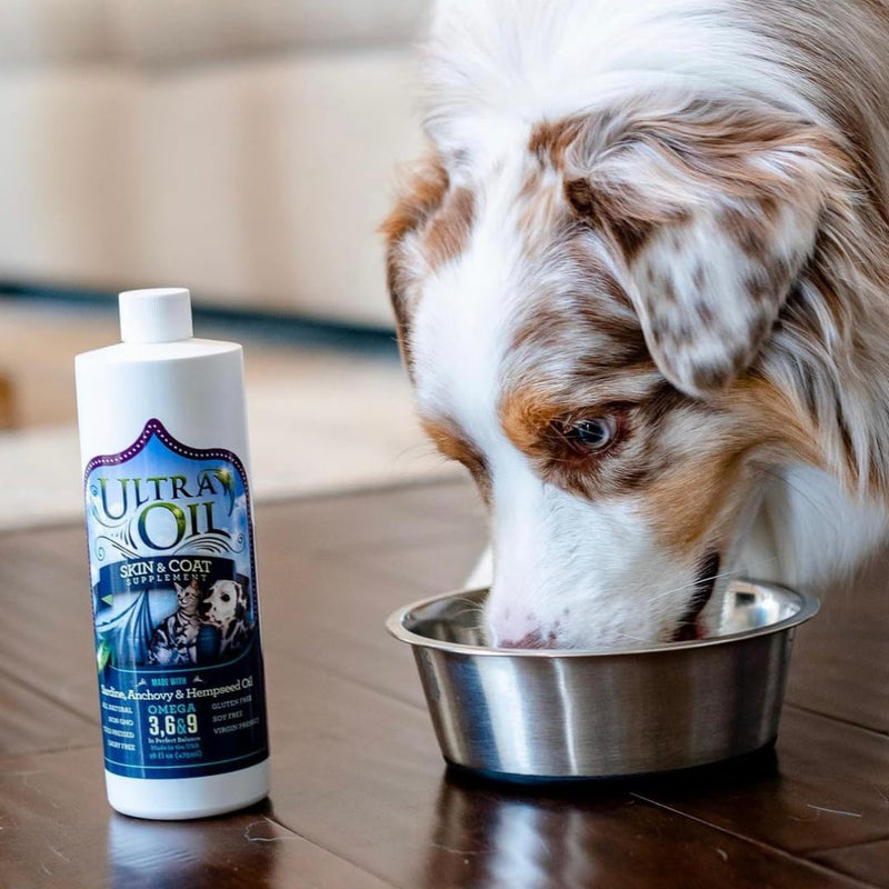 Ultra Oil Skin & Coat Supplement for Dogs & Cats with Hemp, Flaxseed, Grape Seed, Fish Oils - 16oz - PawsPlanet Australia