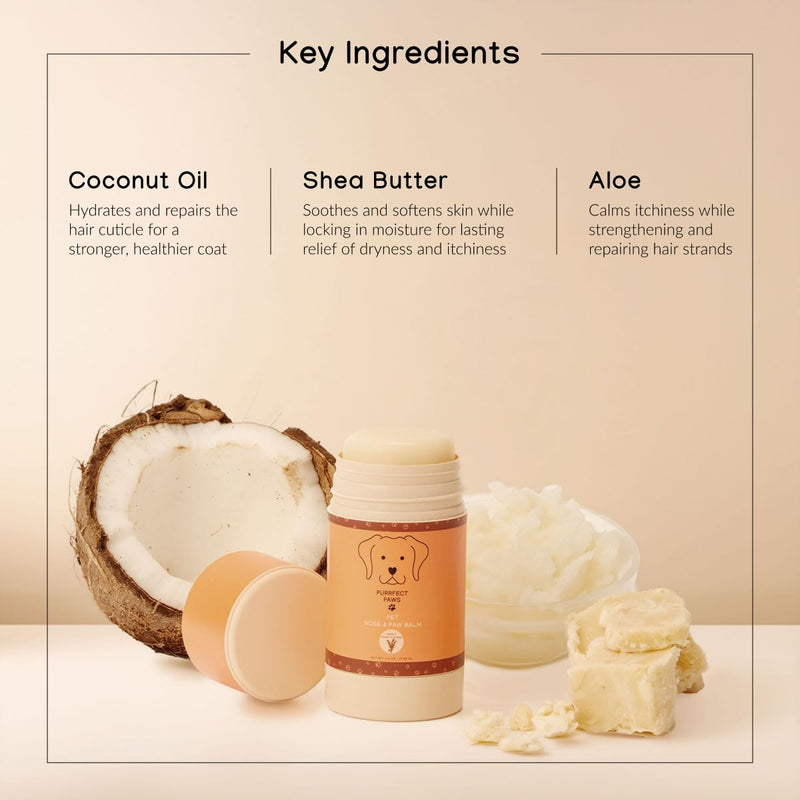 Purrfect Paws Roll-On Pet Paw Balm for Dogs & Cats — Coconut Oil & Shea Butter for Dry, Sensitive Skin — Cruelty-Free Formula — Sweet Honey Almond Scent – Made in USA