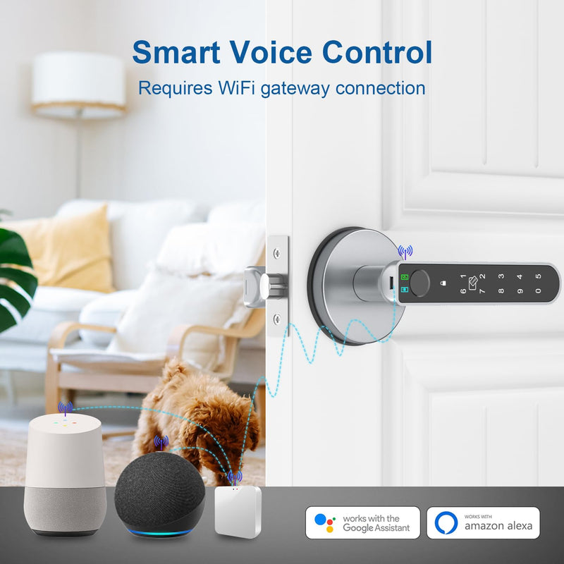 Fingerprint Door Lock, Finger Print Door Knobs Thumbprint Door Knob with App Control/Fingerprints/IC Cards/Codes/Keys, Smart Lock for Bedroom Home Apartment Grey
