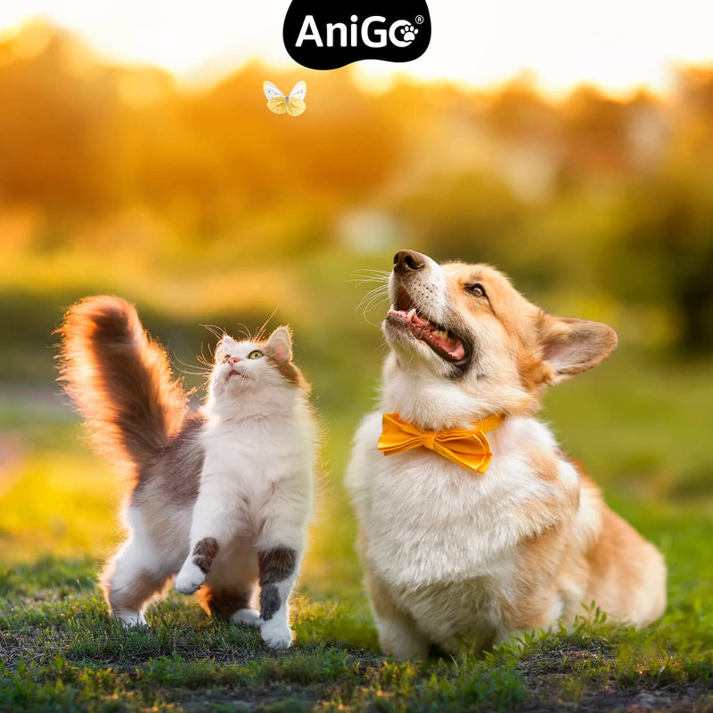 AniGo ear mite oil 50ml immediately effective remedy for cats - against ear mites with chamomile for cats, gentle care for itching in the ear, ear drops for mites, ear cleaner - PawsPlanet Australia