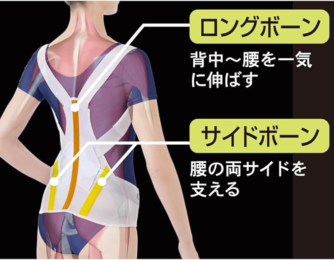 Alphax Posture Supporter, Doctor's Firm Back Belt, M-L Made in Japan - NewNest Australia