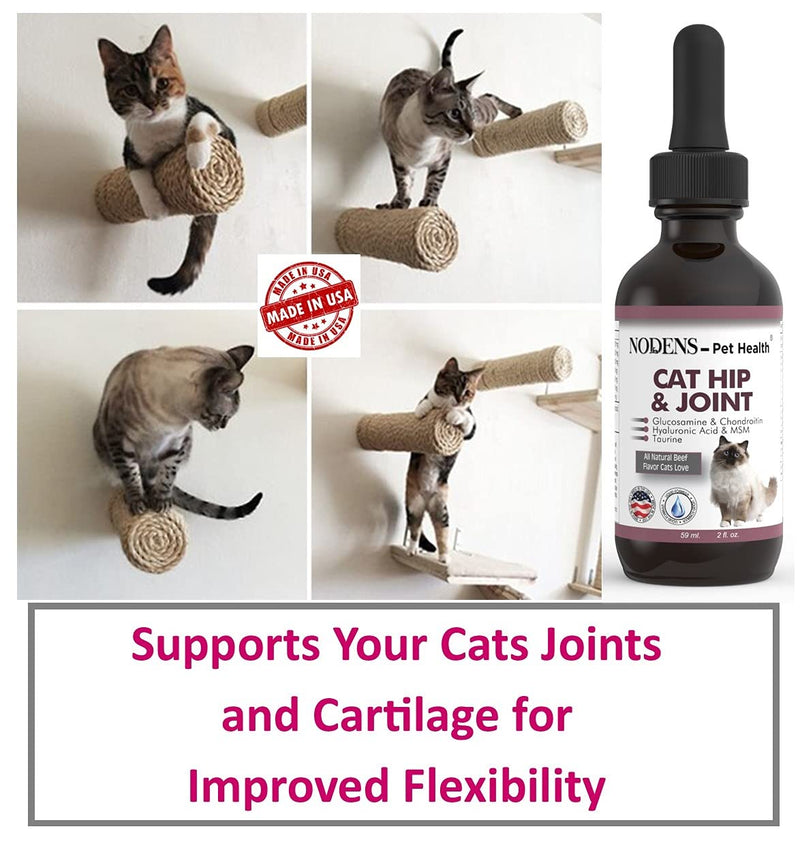 NODENS CAT Hip and Joint Glucosamine for Cats with Chondroitin and Opti-MSM® Hyaluronic Acid for Improved Joint Flexibility and Pain Relief from Inflammation and Cat Arthritis 2 floz - PawsPlanet Australia