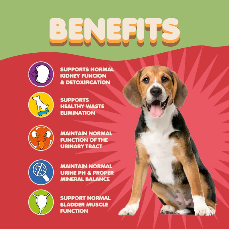 Dog Cranberry Supplement - Natural Dog UTI Treatment & Kidney Support for Dogs. Dog Supplement Powder Same as Cranberry Pills for Dogs. Puppy Supplies for Dog Pee Health - Dog Incontinence Product 100 Serves - PawsPlanet Australia