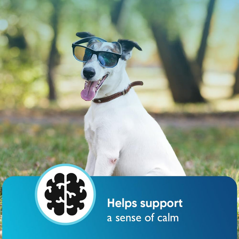 iHeartDogs Hemp Calming & Mobility Chews for Dogs - Dog Anxiety Relief Bites with Hemp - Bacon Flavored Dog Calming Treats for Anxiety, Stress, & Joint Movement - PawsPlanet Australia