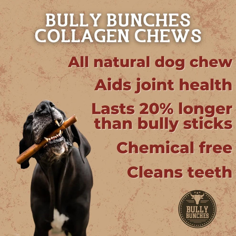 Bully Bunches 6 Inch Collagen Wrapped in Beef Bully Stick | Consistently Sized, All-Natural, Long Lasting Dog Chew | Dental Stick for Avid Chewers (6 Inch, 5 Pack) 6 Inch - 5 Pack