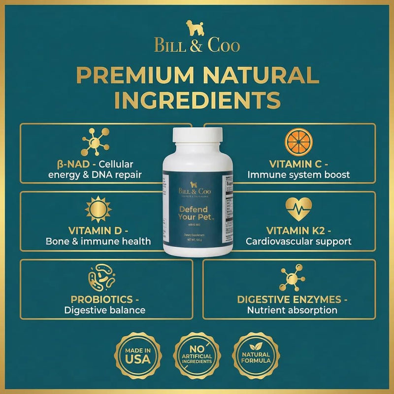 BILL & COO Defend Your Pet ß-NAD Supplement for Senior Dogs – Advanced Cellular Anti-Aging with Vitamins C, D, K2, Probiotics & Digestive Enzymes for Immune Support, Longevity & DNA Integrity – 105g