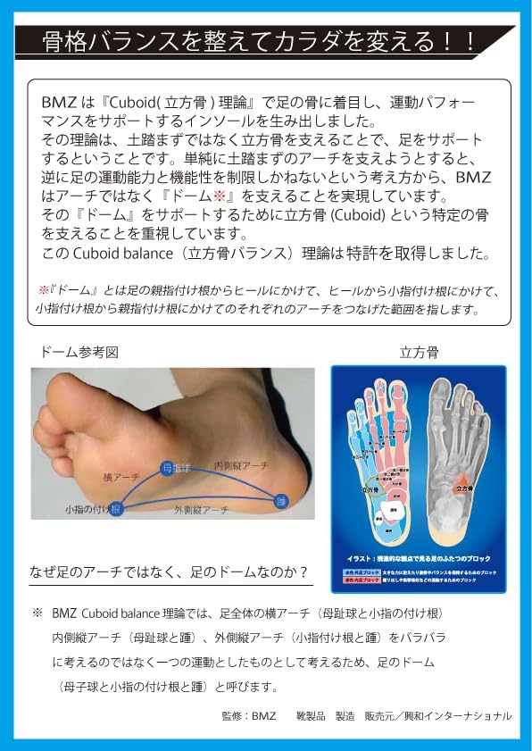 CORE-RIGHT Training Insole, Beautiful Legs Effect, Diet, Flatfoot, Standing Work, Shock Absorption, Insole, Arch Support, Blue, blue - NewNest Australia