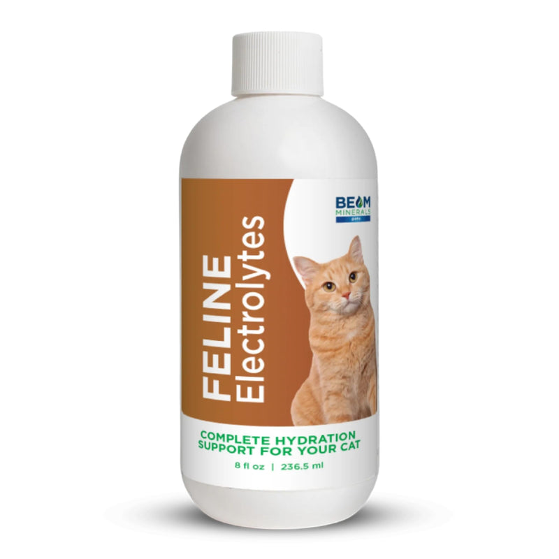 Beam Minerals Complete Feline Electrolytes | Full-Spectrum Electrolytes for Cats | 8 Fl Oz