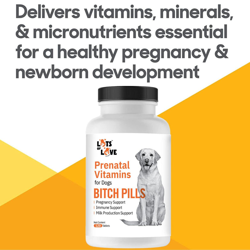 Bitch Pills - Prenatal Vitamins for Dogs (Thomas Pet Earlier) - 120 Tablets - PawsPlanet Australia