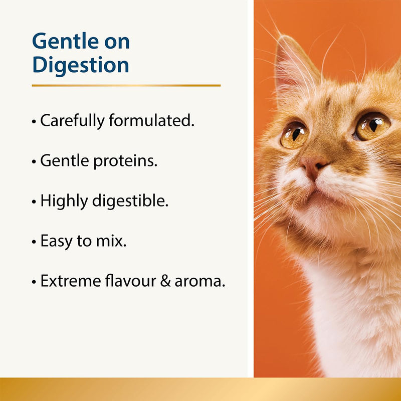Beauty for Cats 100g | Skin & Coat Supplement for Cats | Omega 3 for Cat | Less Moulting & Shedding | Dry, Dull Coat | Tasty Topper | Fussy Eaters | Itchy Cats & Immunity | Salmon Oil Alternative Beauty