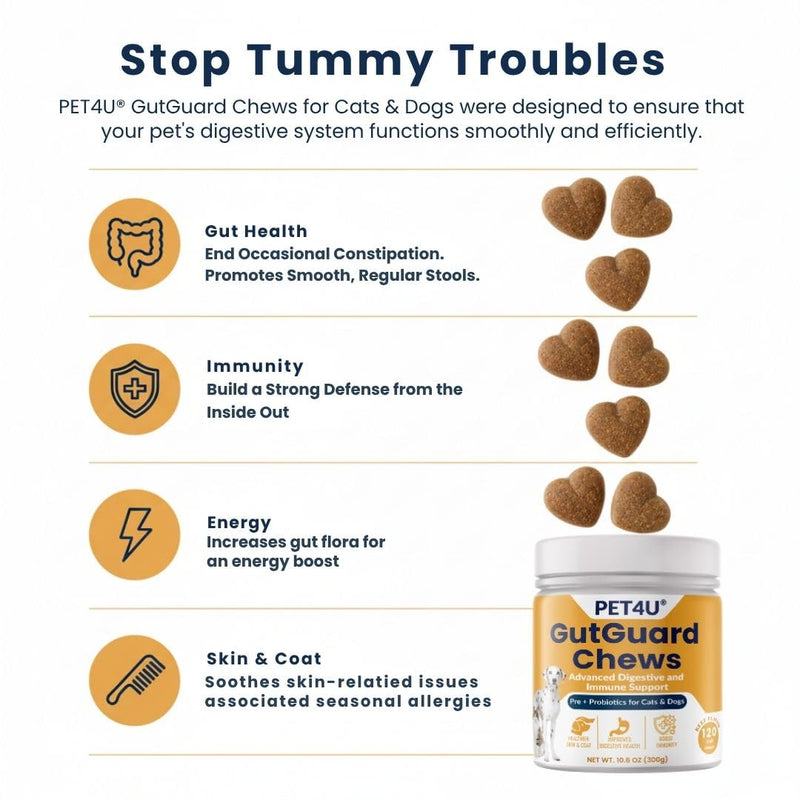 PET4U® Pre (FOS) & Probiotics for Dogs and Cats - Supports Healthy Digestion, Regular Bowel Movements - Anti Diarrhea & Constipation Relief - 120 Heart Chews, Beef Flavor