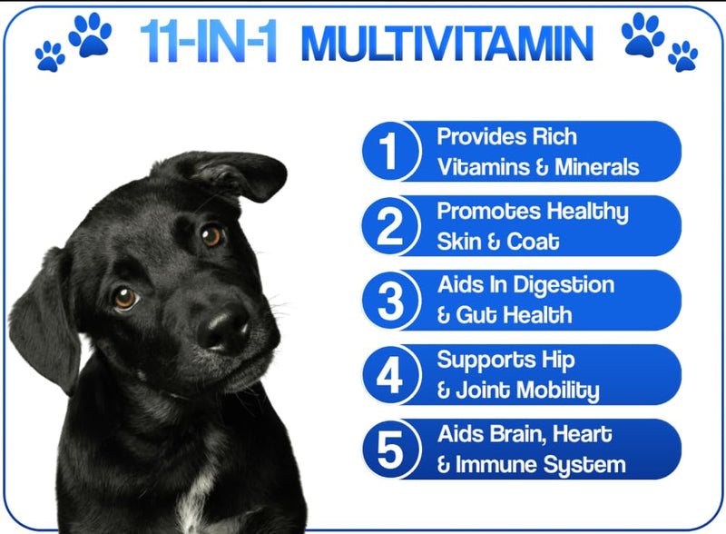 11-in-1 Dog Multivitamin Chews | Hip & Joint Support, Skin & Coat, Immune, Digestive & Heart Health | Chicken Flavor Supplement for Dogs | 120 Soft Chews, 300g