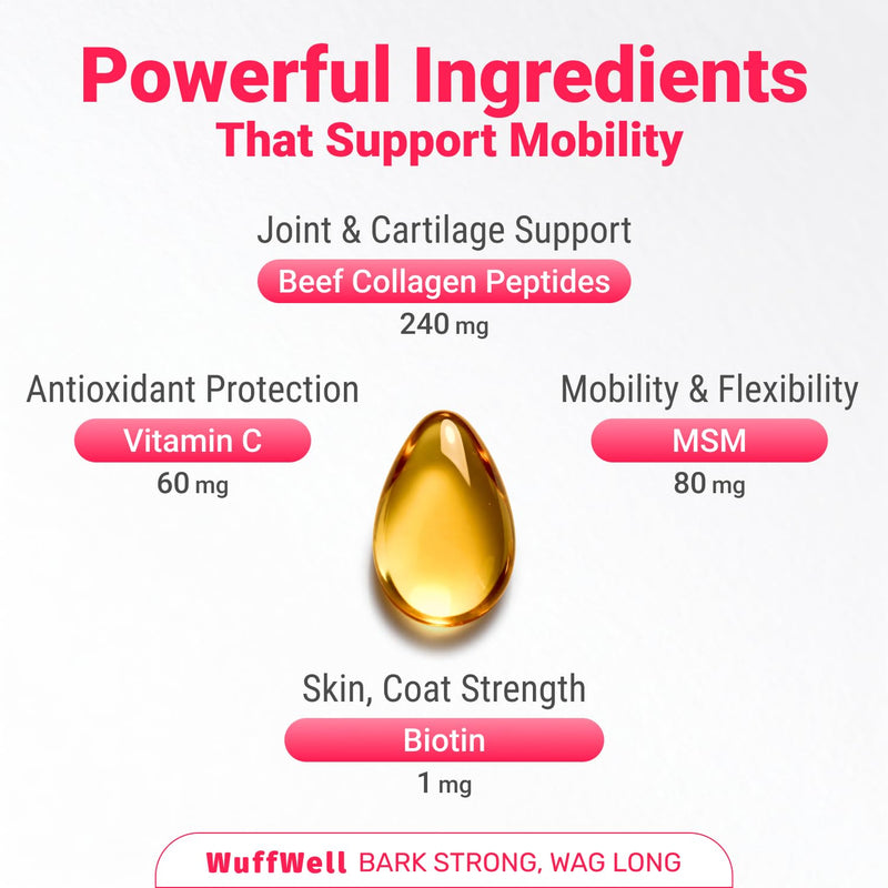 WuffWell Liquid Collagen for Dogs - Premium Dog Collagen Drops for Healthy Joints - Made in USA - Supports Skin & Coat Health - Easy to Administer for Dogs of All Breeds