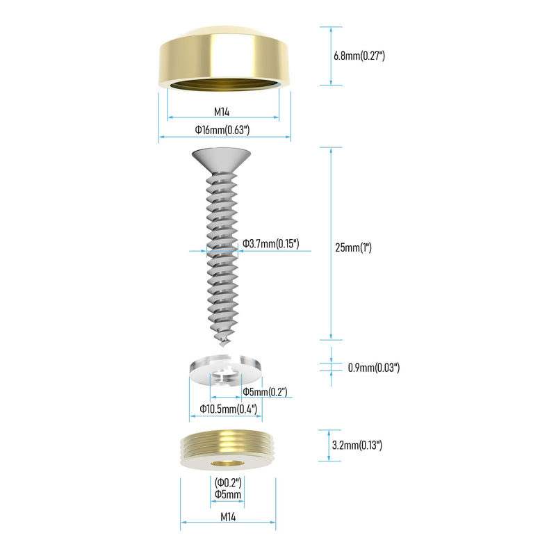 4 PCS 16mm(0.63") Mirror Screws, Brass Decorative Caps Cover Fasteners, Metal Mirror Nails, Polished Beveled Gold Lid (Bright Gold)