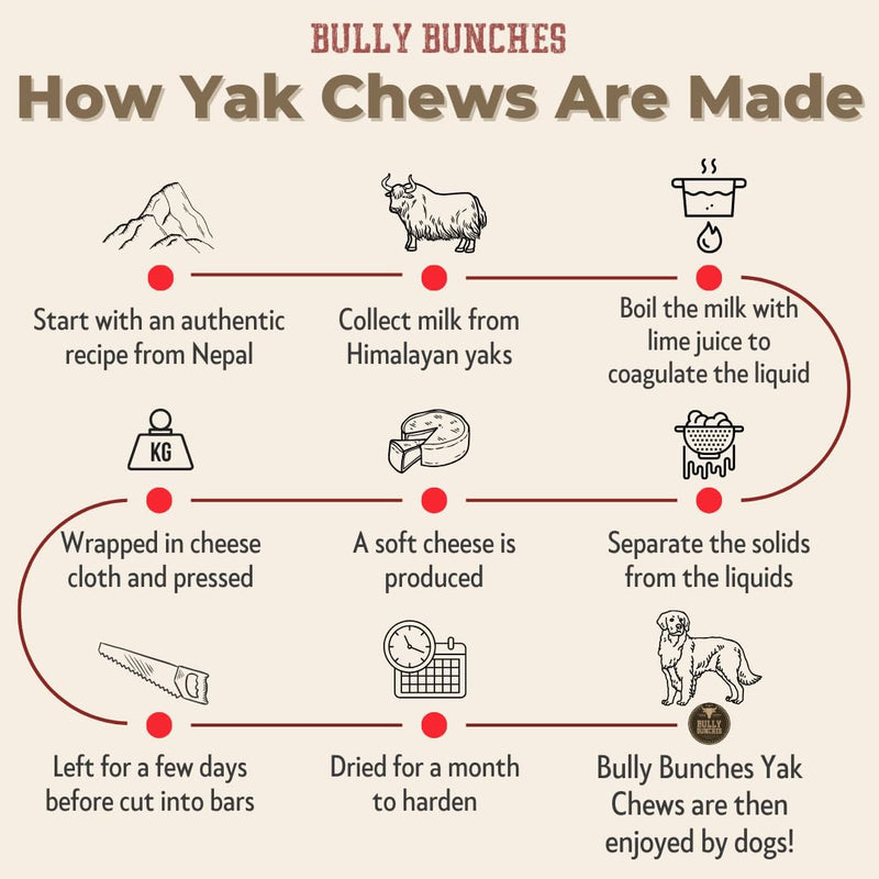Bully Bunches Mega Authentic Yak Cheese Himalayan Chews for Giant Dogs & Super Aggressive Chewers - All Natural Dog Treat Dental Chews, Made with Real Yak Milk - Lactose & Rawhide Free (2 PK) Mega, 2 Pack - PawsPlanet Australia