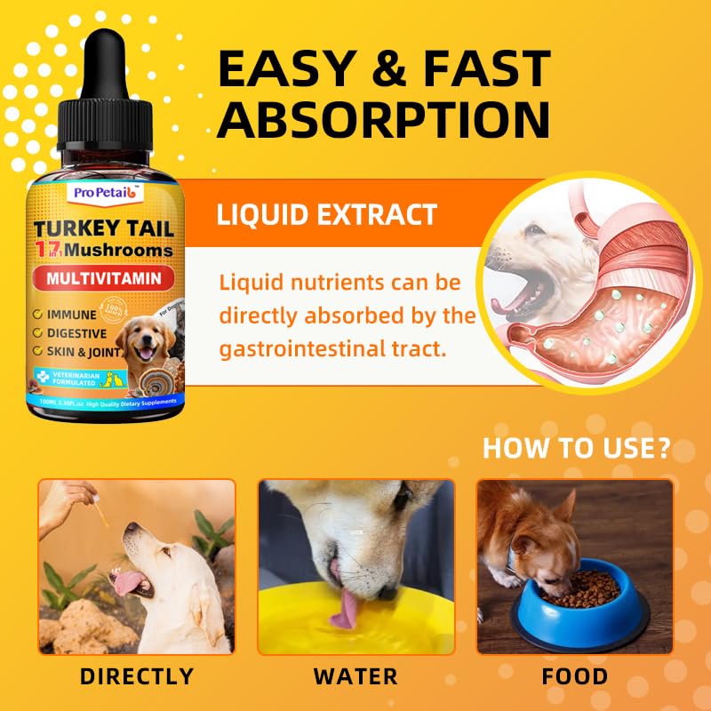 Turkey Tail Mushroom Liquid for Dogs 3000mg Highly Concentrated Extract | Immune Defense, Lipoma & Itch Relief, 17 in 1 Tincture, 5X Organic Mushrooms Blend, Multivitamin & Turmeric, Daily Vitality