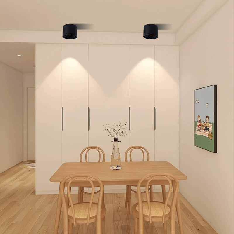 LED Dimmable Ceiling Spot Light Aluminum Matte Black 4.72'' Cylinder Spotlight Indoor Modern Minimalist Focus Ceiling Down Light Fixture for Living Room Hallway Foyer CRI 98 12W 3000K Round-12W-Dimmable