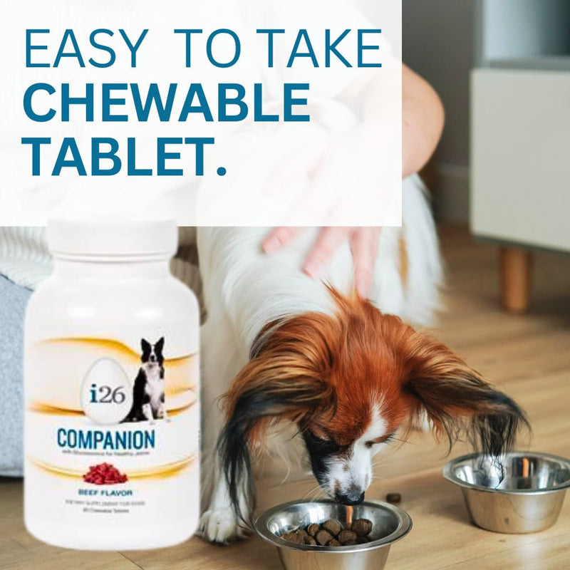 Chewable Dog Nutrition Companion i26 Puppies to Adults - 60 Beef Tabs - PawsPlanet Australia