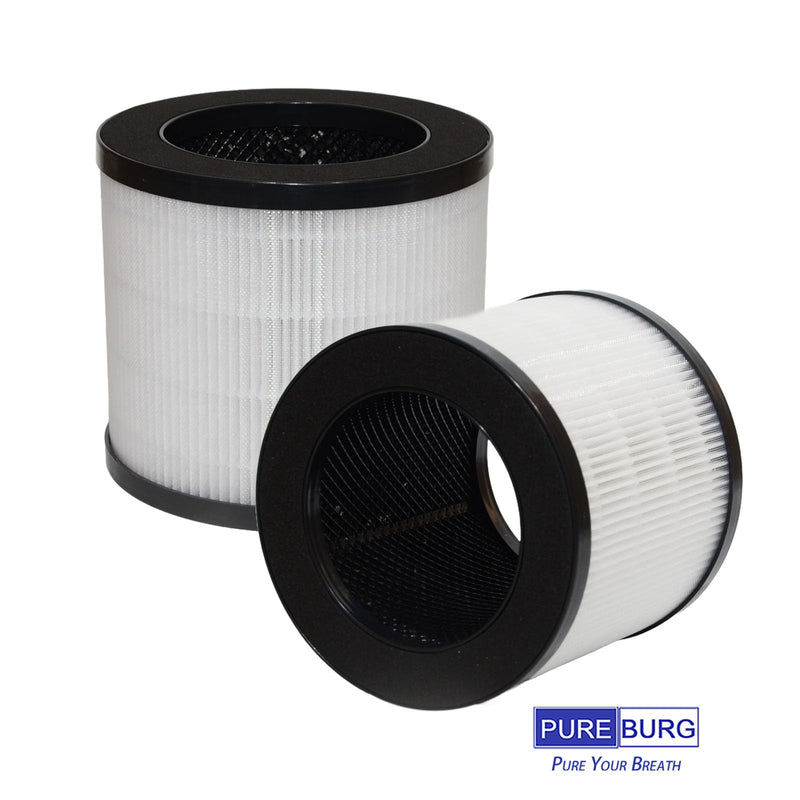 PUREBURG HEPA Filter Compatible with Hathaspace HARMONY 200 Air Purifier