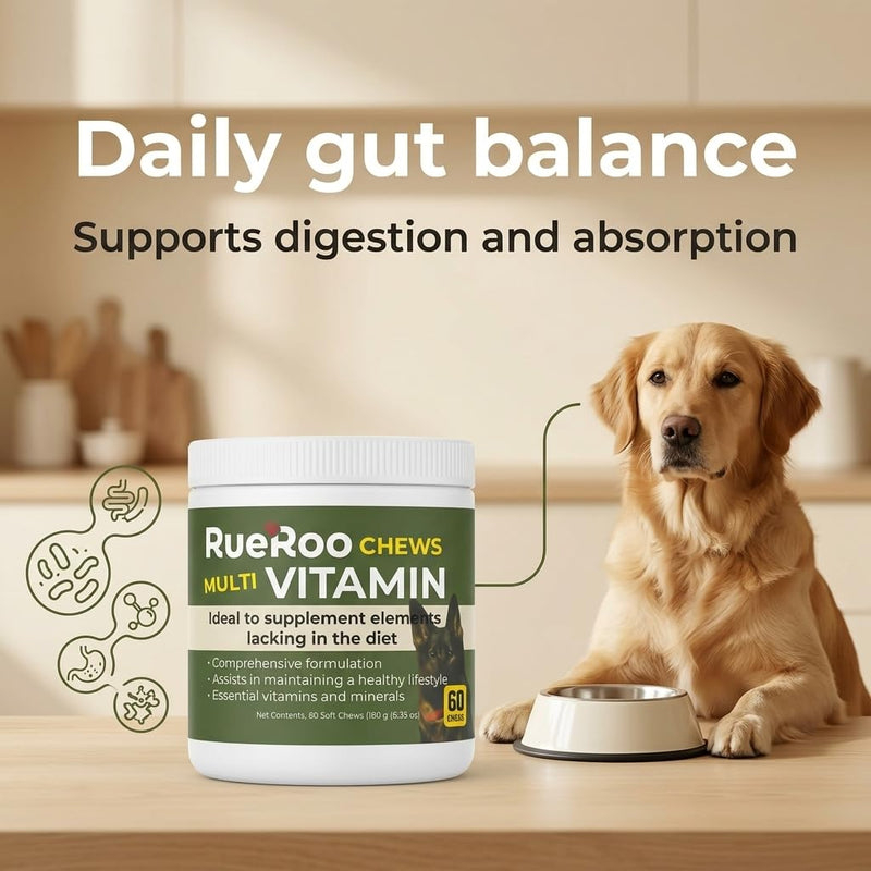 All-in-1 Multivitamin Chews for Dogs – Glucosamine, MSM, Salmon Oil, Turmeric, Mushrooms & Probiotics – Joint, Skin, Immune, Digestive & Energy Support – Puppies to Seniors – 60 Soft Chews