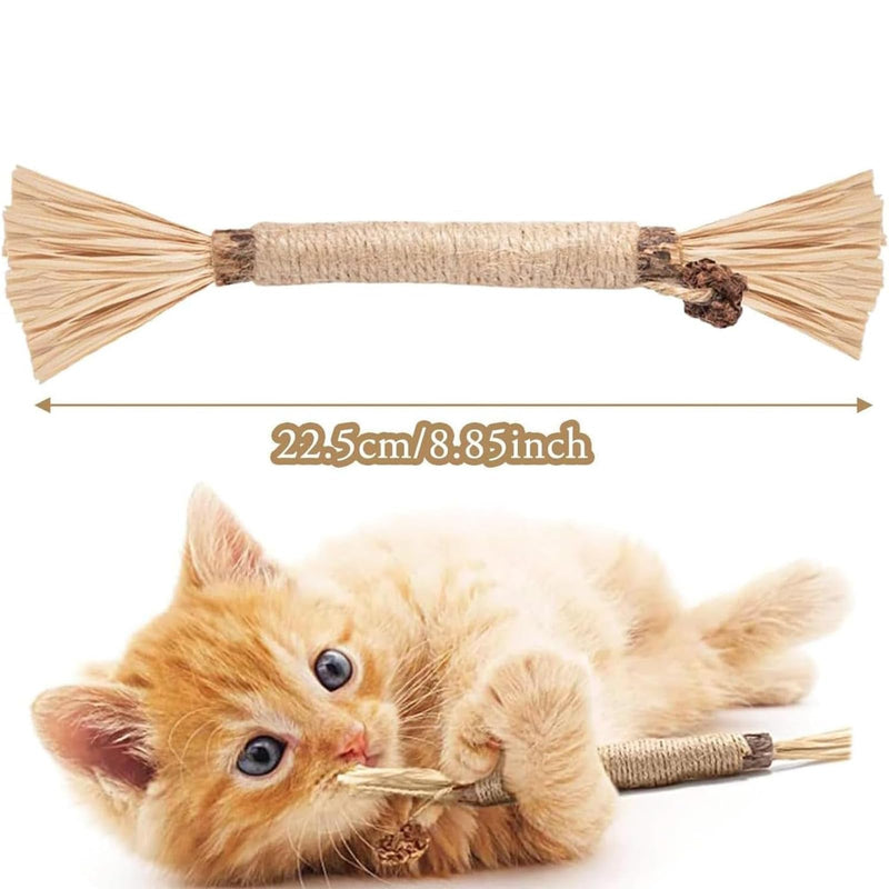UBIETY Natural Silvervine Dental Sticks, silvervine Sticks for Cats，Natural Cat Chew Stick, Interactive Kitten Chew Playthings, for Indoor Kitty Nip Teeth Cleaning Dental Care Biting (10PCS) 10PCS