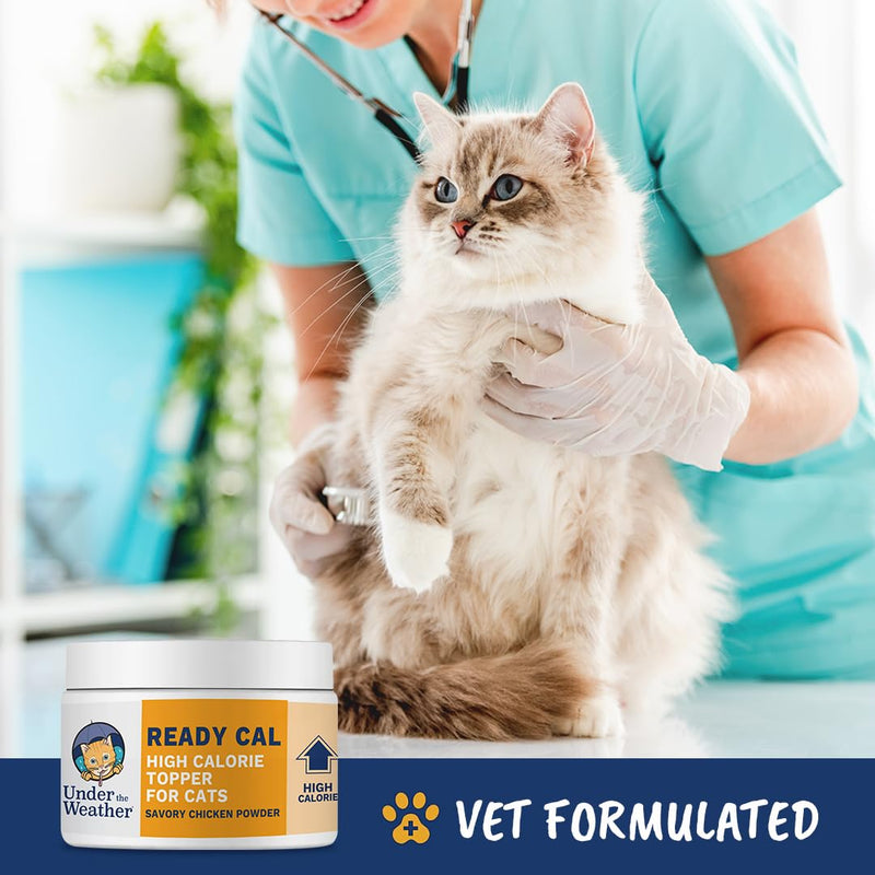 Under the Weather Ready Cal Powder for Cats | High-Calorie, Weight Gainer, Appetite Stimulant, Energy Booster Pet Supplement | 8 Ounces For Cats - Ready Cal Powder