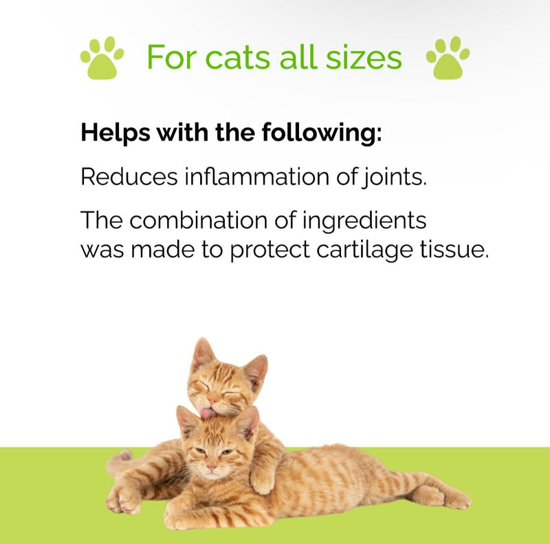 Artricat Dietary Supplement by Interfarma Corp | Cartilage Protection, Reduce Inflammation, & Joint Support for Cats | with Glucosamine, Collagen, & Hyaluronic Acid | Pineapple Flavor, Drops. SINGLE