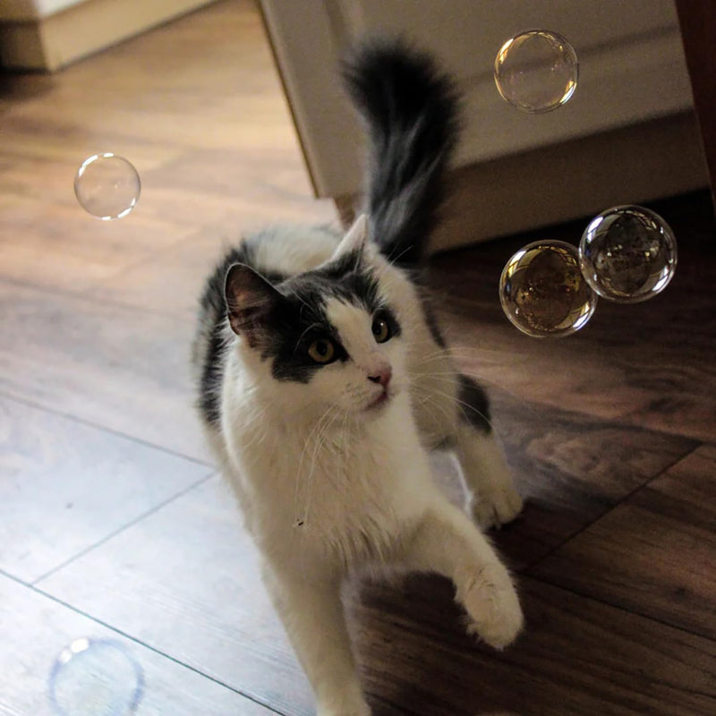 Atomic Bubbles Kitty Love Calming Bubbles, 2 Pack, 4oz Bottles | Relieve Cat Anxiety & Stress, Pet Safe, Non-Toxic Formula, Sensory Bubble Play