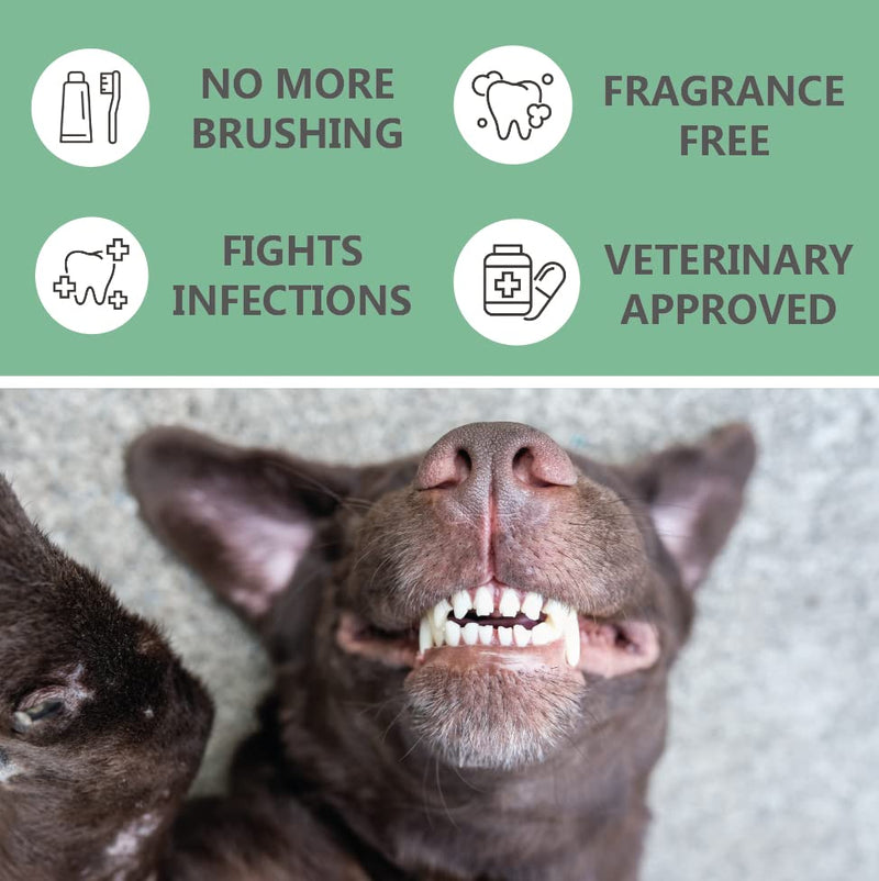 Pets Purest Breath Freshener & Dental Teeth Cleaning Spray - 100% Natural Plaque & Tartar Remover, Mouthwash & Bad Breath Treatment Water Formula for Dogs & Cat - 200ml - PawsPlanet Australia