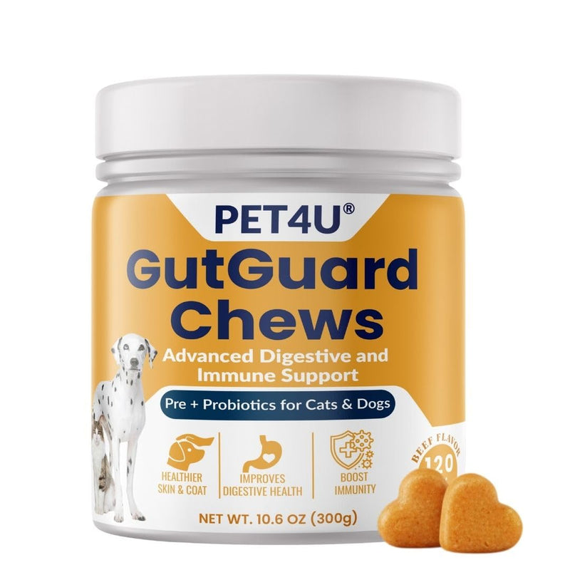 PET4U® Pre (FOS) & Probiotics for Dogs and Cats - Supports Healthy Digestion, Regular Bowel Movements - Anti Diarrhea & Constipation Relief - 120 Heart Chews, Beef Flavor