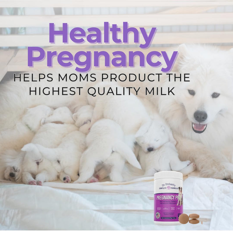 Dr Orchards Pregnancy Pro Dog Prenatal Vitamins - Premium Dog Supplement for Pregnancy, Prenatal + Postnatal, Lactation and Newborn Health Support, 90 Ct - PawsPlanet Australia