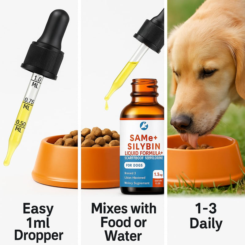 SAMEe for Dogs 500mg Liquid Drops with Silybin – Bacon Liver Flavored Liver Support Supplement for Dogs – S-Adenosyl Methionine & Milk Thistle Extract – 30ml (1oz) 1 Fl Oz(Pack of 1)