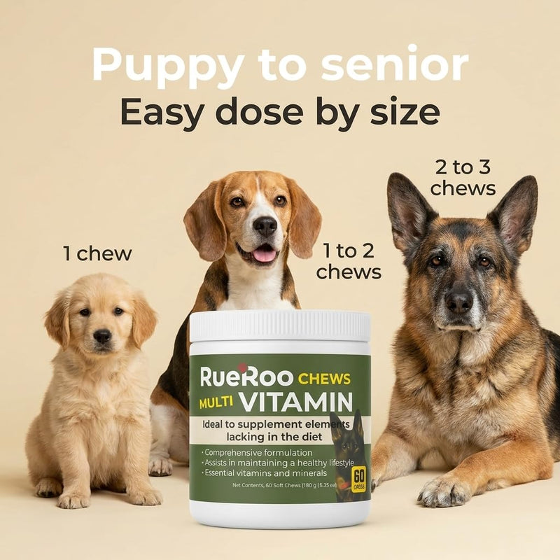 All-in-1 Multivitamin Chews for Dogs – Glucosamine, MSM, Salmon Oil, Turmeric, Mushrooms & Probiotics – Joint, Skin, Immune, Digestive & Energy Support – Puppies to Seniors – 60 Soft Chews