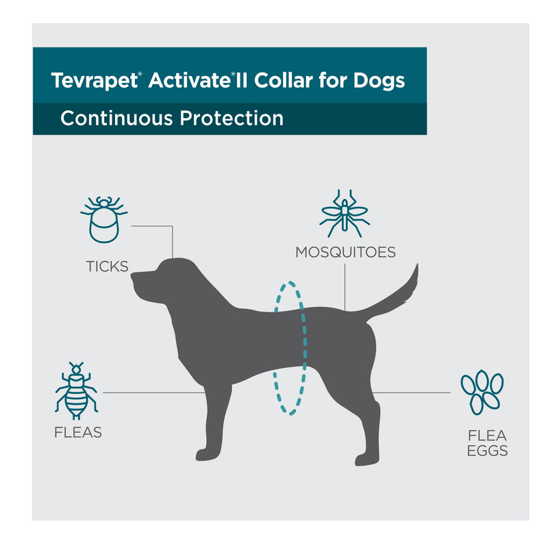 TevraPet Activate II Flea and Tick Collar for Dogs, 6 Months Prevention, 1 Count, One Size Fits All