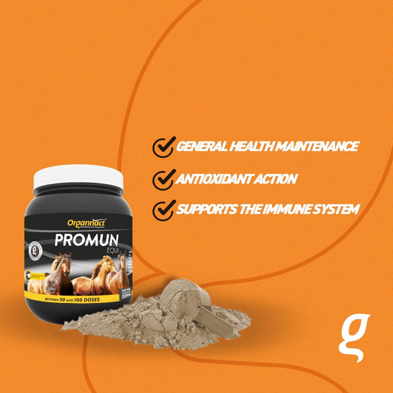 Organnact Promun Equi - Nutritional Support for Horses - Enhances Immune Function, Gut Health, and Antioxidant Protection - Non-Doping, Excellent Palatability - 1.1 Lbs