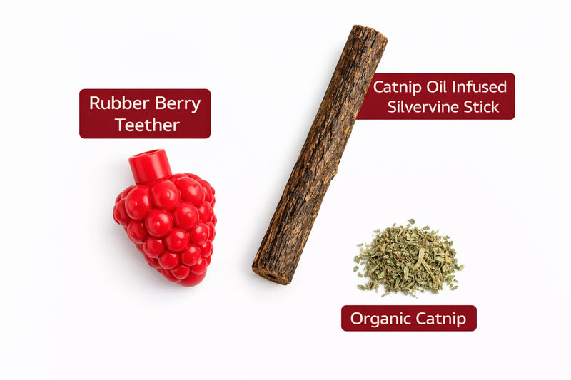 Cat Dental Teether Toy with Silvervine Chew Stick - Rubber Berry Holder with Catnip Oil Infused Matatabi Stick for Teeth Cleaning - Kitten Teething Toy for Indoor Cats (1 Teether + 1 Stick) 1 Rubber Berry Teether, 1 Silvervine Chew Stick