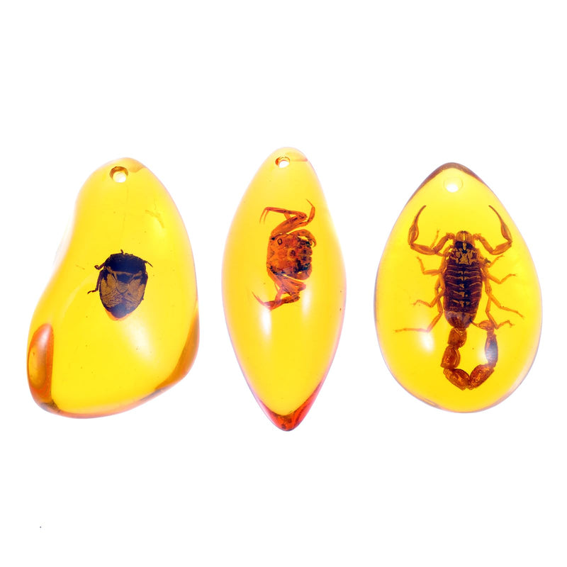 ULTNICE 3pcs Amber Insect Specimens Pendants Amber Fossil Insect Artificial Amber Insect Specimen Pendant Scorpions Insects Amber Stone Ornament for Necklace