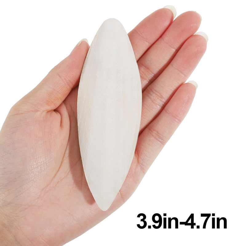 6 Pcs Natural Cuttlebone Parakeets Pure Cuttlebone Calcium Stone for Tortoise Parakeets Canaries Cockatiels Turtles Cockatiel 9.5-10.4cm/3.7-4 inch - PawsPlanet Australia