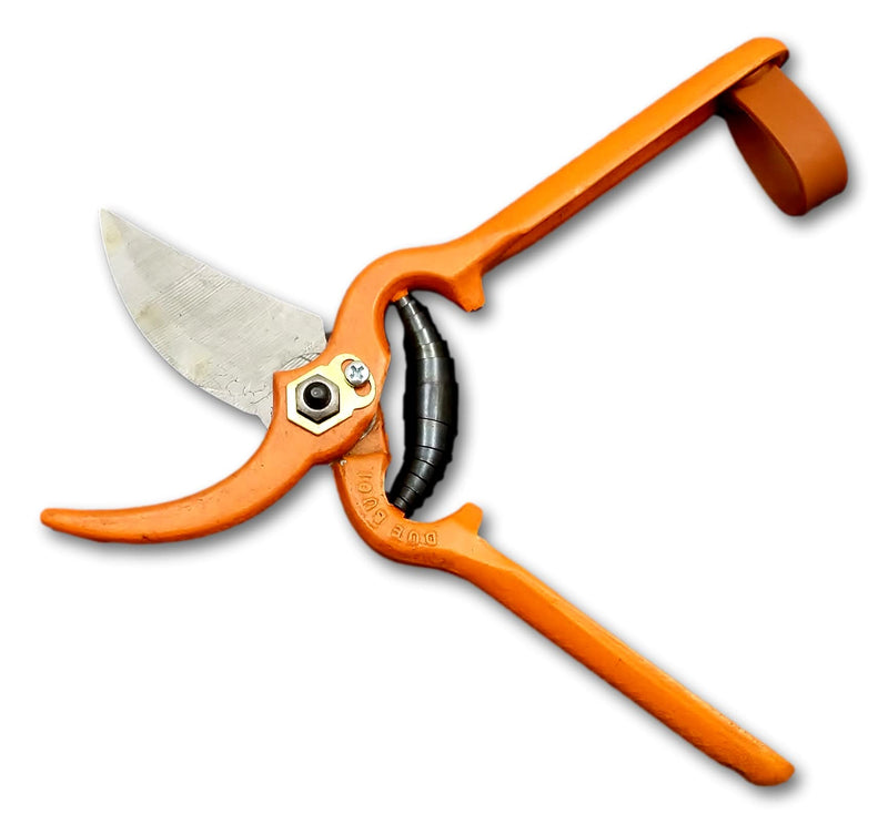 DUE BUOI Bypass Painted Forged Prunig Shears 125/21V