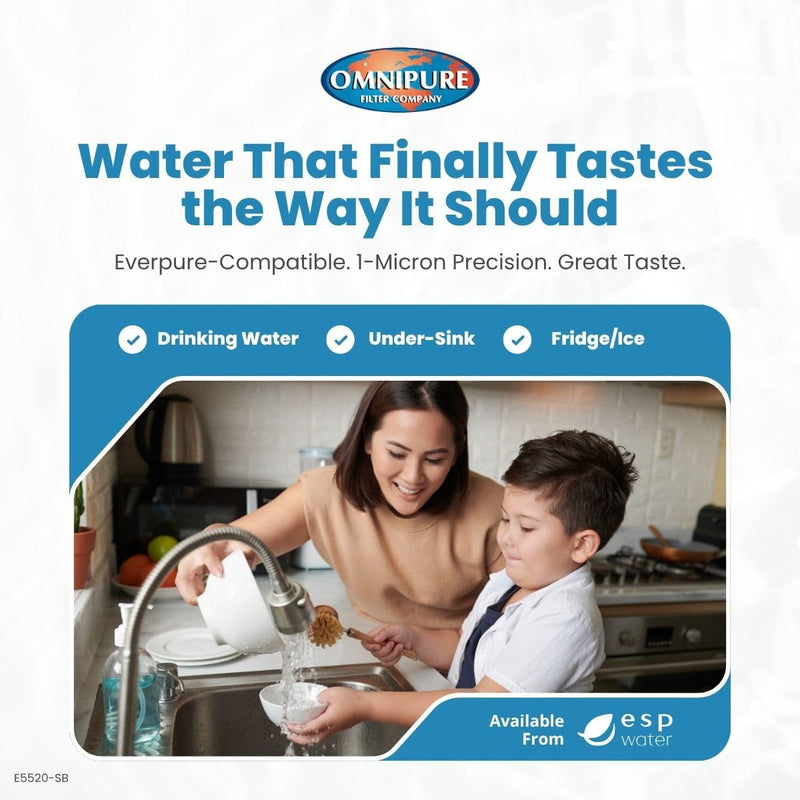 Omnipure E5520-SB Carbon Block Water Filter 1 Micron 10 x 2.5 Twist and Lock Cartridge Reduces Chlorine Improves Taste and Odor Quick Change Replacement