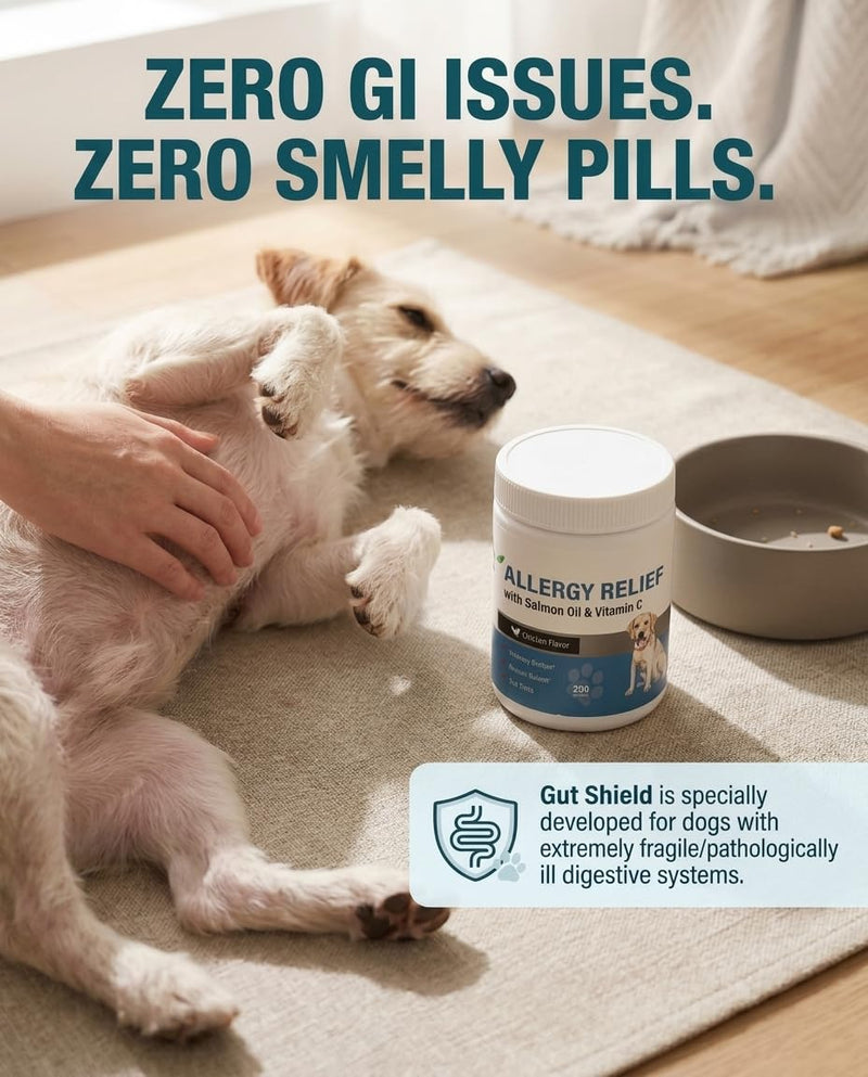 Dog Allergy Relief Chews, Rx Replacement Yeast & Skin Relief Rapid Action High Palatability Thick Black Skin Stopped Scratching, Licking, and Losing Clumps of Fur Chicken 200 Chews