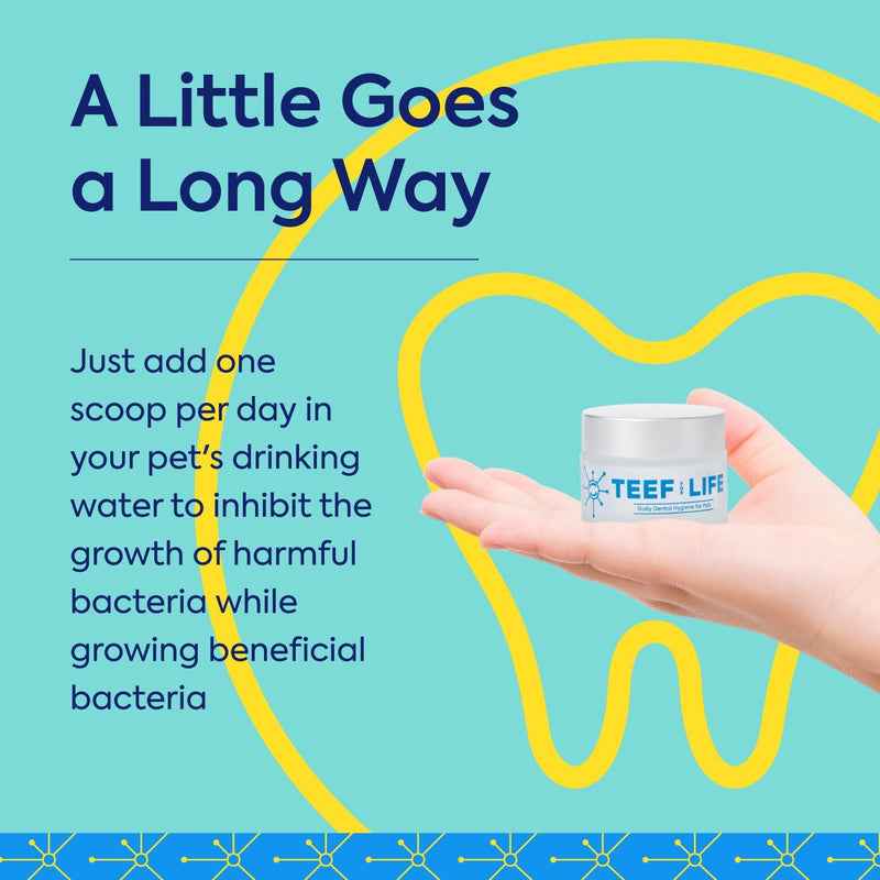TEEF FOR LIFE Refill Packets Protektin42 Prebiotic Dental Powder for Dogs, Plant-derived, Clinically-Proven Formula Naturally Fights Bad Breath, Plaque, and Tartar, 3 Packets with 90 Servings Refill Packet (90 Servings)