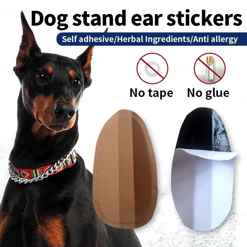 Dog Ear Stand Sticker Up Support Tool, Dog Ear Fixed Correction Vertical Holder for Doberman. (1.65 * 2.95) 1.65 * 2.95
