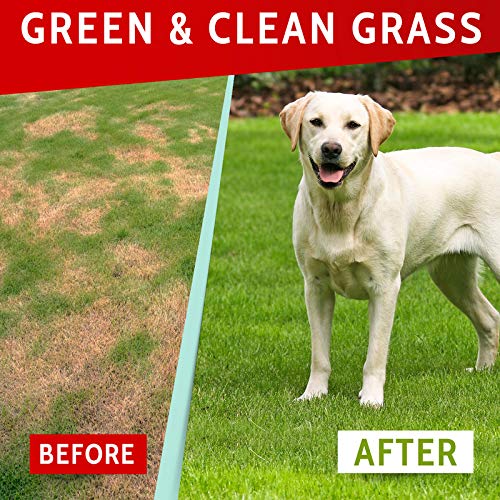 PAWFECTCHEW Grass Burn Spot Chews for Dogs - Dog Pee Lawn Spot Saver - Urine Neutralizer for Grass Burn Spots - Dog Pee Lawn Repair Treats w/Probiotics - Made in USA - Bacon Flavor - 240 Chews - PawsPlanet Australia