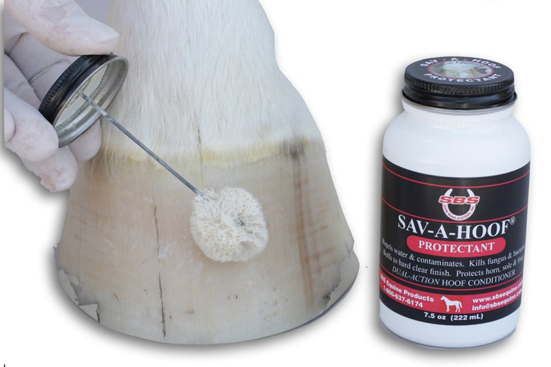 SBS Sav-A-Hoof PROTECTANT, Item 309 SBS Equine Item 309 Hoof Conditioner, One Size - PawsPlanet Australia